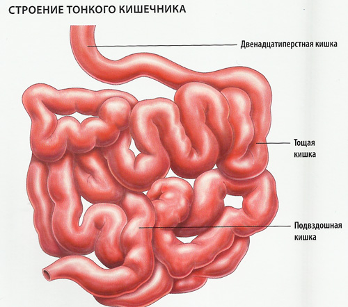 схема подключения карбюратора ваз 2110 схема подключения карбюратора ваз 2110