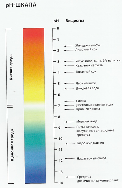 Шкала pH схема