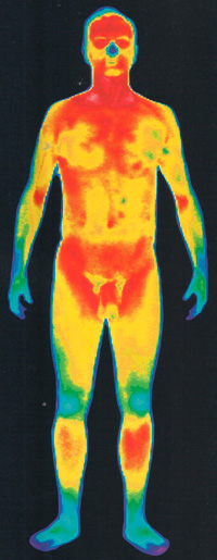 термограмма человека