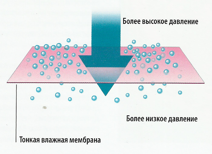 схема газ - мембрана